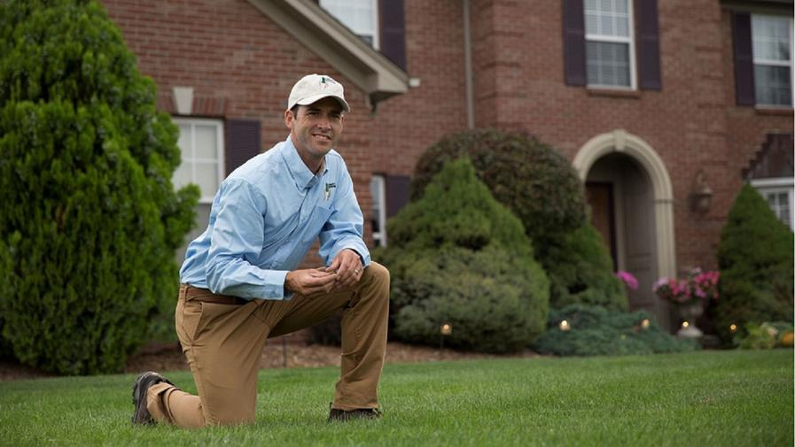 Cover photo of Lawn Doctor of Arlington